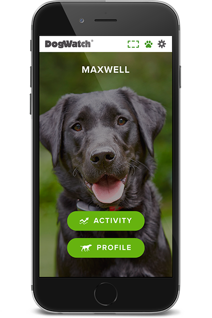 DogWatch of Columbus, Columbus, Ohio | SmartFence WebApp Image